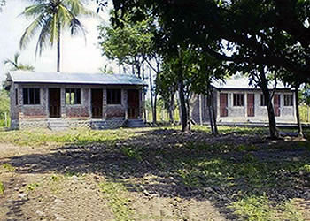 �������������ł�