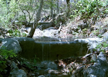 ���ۂɐ������ꂾ���A�S�C�����^���̖h�~�ɖ𗧂��Ă���2�@�̃_��