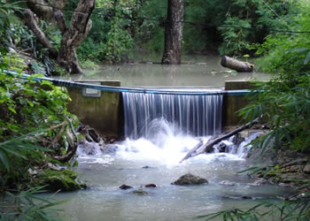 �h�C�X�e�B�[�u�n��Ɋ��������`�F�b�N�_��