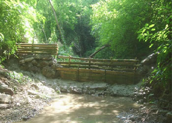 �t�@���[�h�E�I�[�^�[���C���@�X�e�[�v�R�@�`�F�b�N�_��