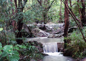 Check dams of the second line