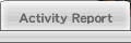Activity Report