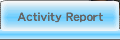 Activity Report